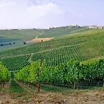 Casa de Férias Agriturismo Fattoio Alle Ripe - Frantoio SantʼEllero