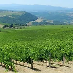 Agriturismo Fattoio Alle Ripe - Frantoio Casa de Férias
