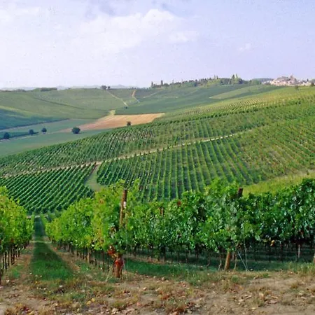 Vakantiehuis Agriturismo Fattoio Alle Ripe - Frantoio SantʼEllero