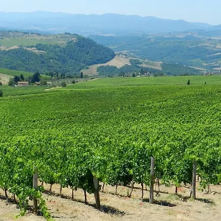 Agriturismo Fattoio Alle Ripe - Frantoio Vakantiehuis