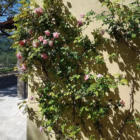 Agriturismo Fattoio Alle Ripe - Frantoio Casa de Férias SantʼEllero