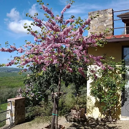 Agriturismo Fattoio Alle Ripe - Frantoio * SantʼEllero