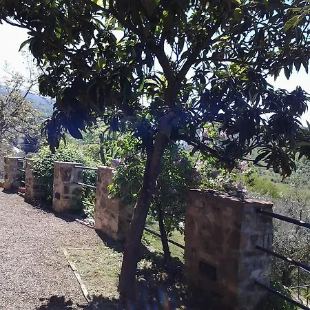 Agriturismo Fattoio Alle Ripe - Frantoio * SantʼEllero