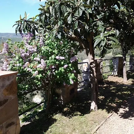 Casa de Férias Agriturismo Fattoio Alle Ripe - Frantoio