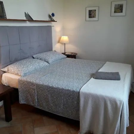 Agriturismo Fattoio Alle Ripe - Frantoio SantʼEllero